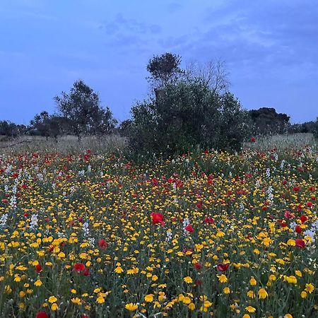 Agriturismo Villa Coluccia مارتانو المظهر الخارجي الصورة