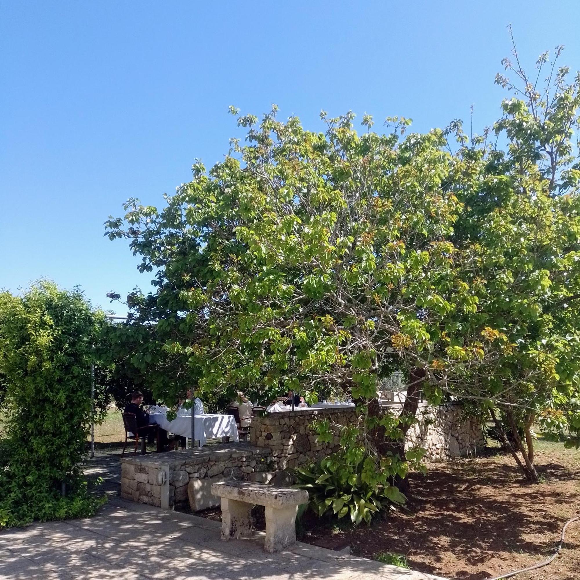 Agriturismo Villa Coluccia مارتانو المظهر الخارجي الصورة