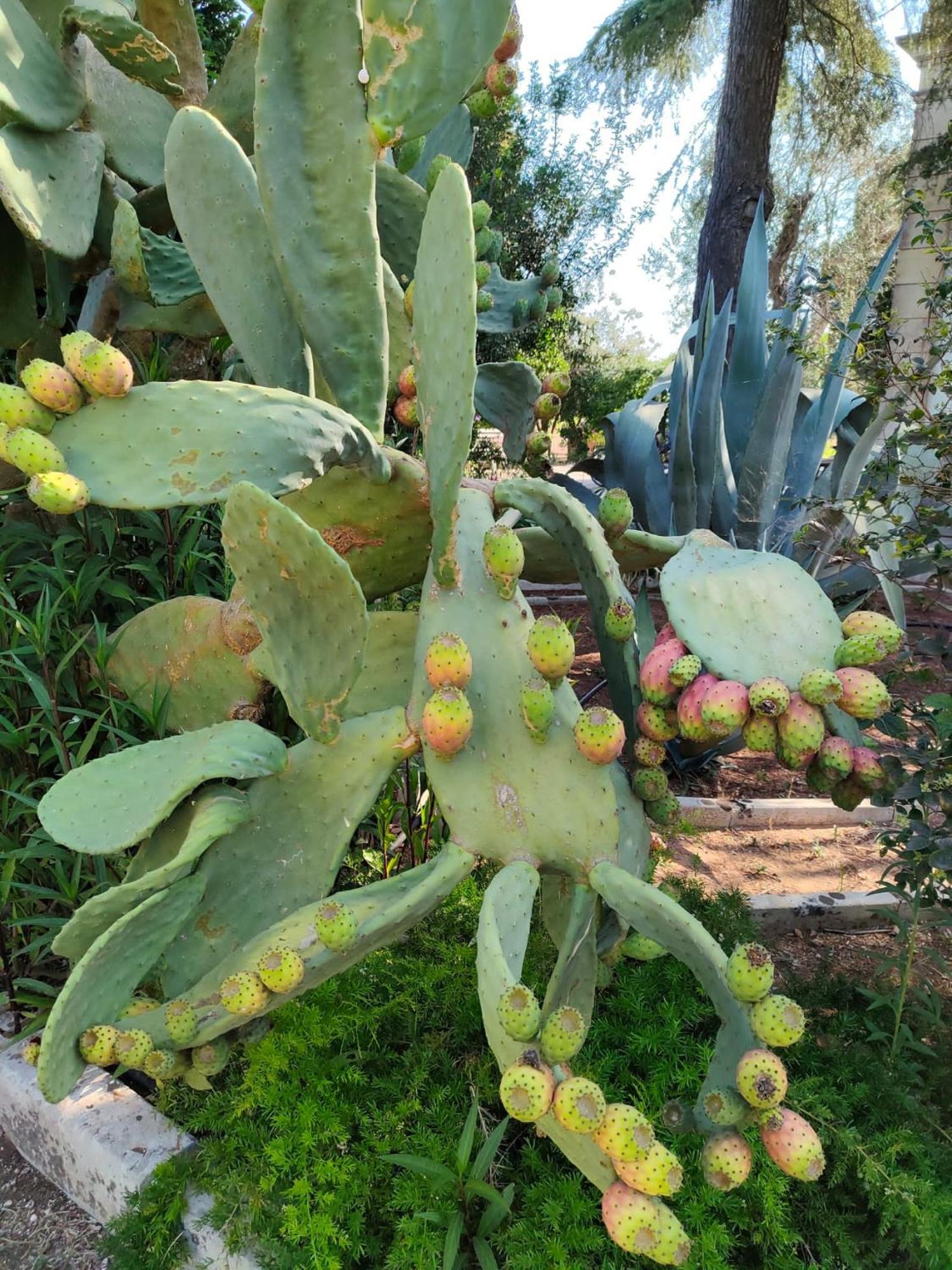Agriturismo Villa Coluccia مارتانو المظهر الخارجي الصورة