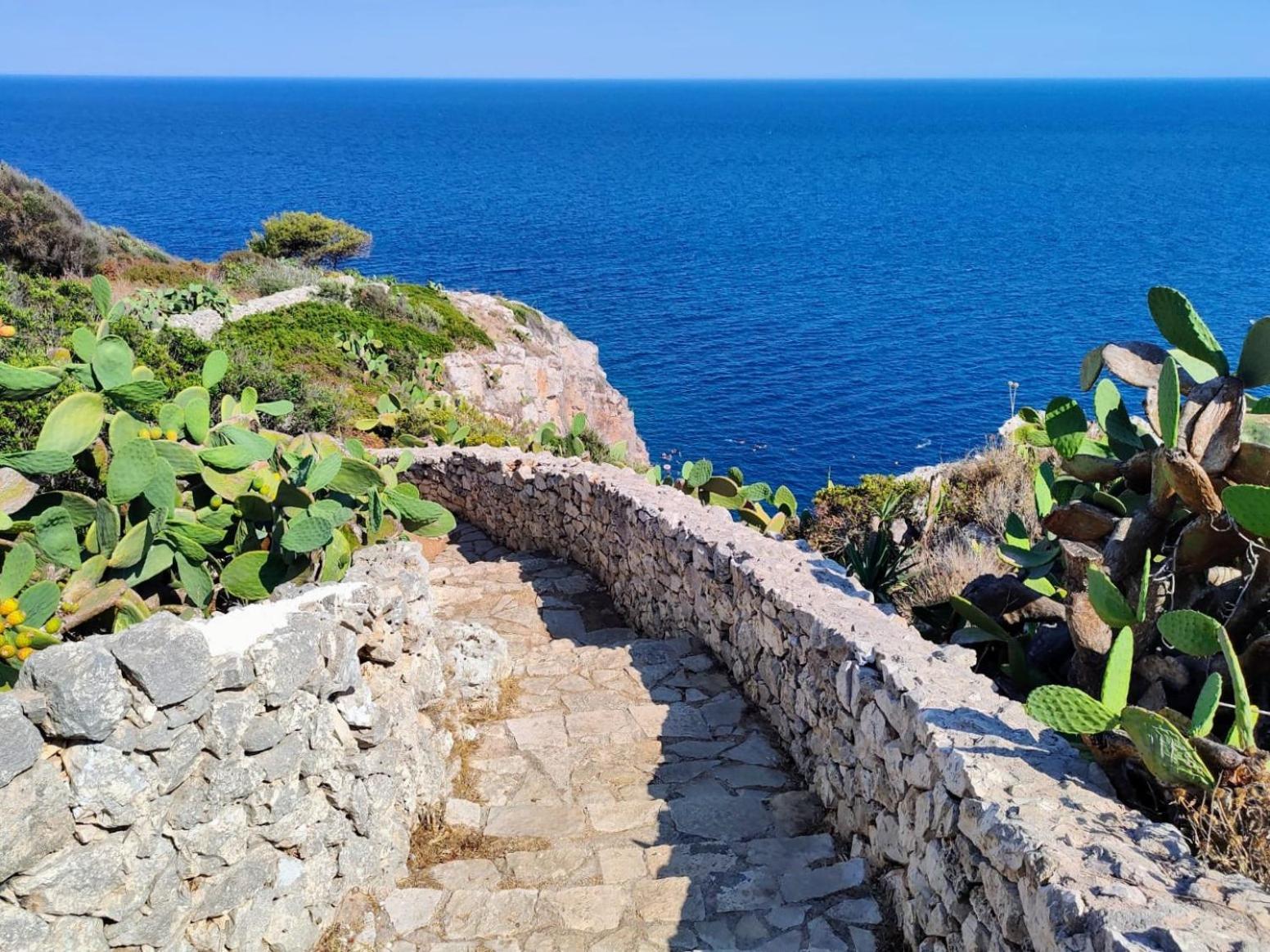Agriturismo Villa Coluccia مارتانو المظهر الخارجي الصورة
